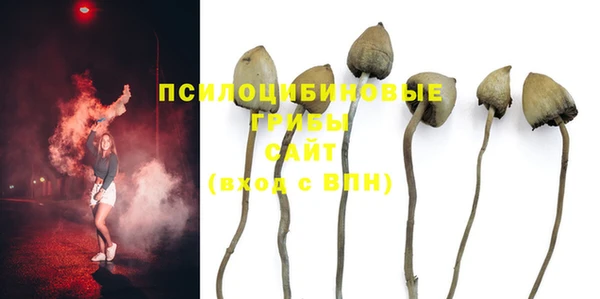 скорость Елабуга