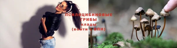 герыч Ельня