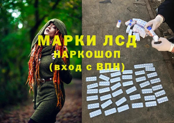 герыч Ельня