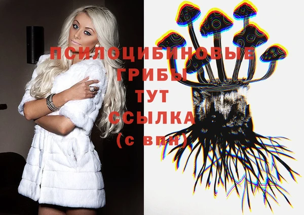 мдма Елизово
