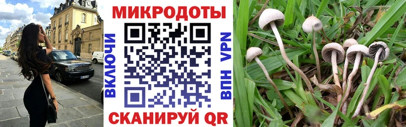 Галлюциногенные грибы Psilocybine cubensis  Купить закладки  Холмск 